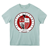 Arona seattle university Heavy Core Tee - artisFamous