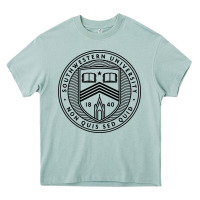 Arona southwestern university Heavy Core Tee - artisFamous