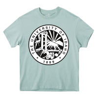Arona university of idaho Heavy Core Tee - artisFamous