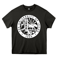 Asphalt university of idaho Heavy Core Tee - artisFamous