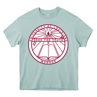 Arona university of louisiana at monroe Heavy Core Tee - artisFamous