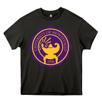 Asphalt university of montevallo Heavy Core Tee - artisFamous