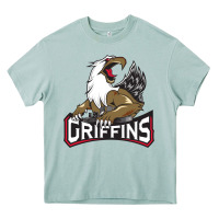 Arona The Griffins, Grand Rapids Heavy Core Tee - artisFamous