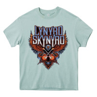 Arona linyrd skynyrd Heavy Core Tee - artisFamous