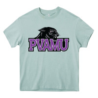 Arona prairie view a&m panthers and lady panthers Heavy Core Tee - artisFamous