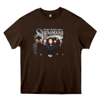 Shenandoah Heavy Core Tee | Teevron
