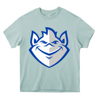 Saint Louis Billikens Heavy Core Tee | Teevron