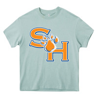 Arona sam houston state bearkats Heavy Core Tee - artisFamous