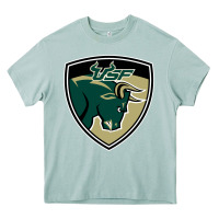Arona south florida bulls Heavy Core Tee - artisFamous