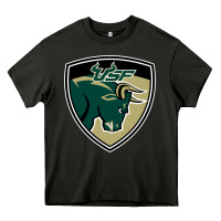 Asphalt south florida bulls Heavy Core Tee - artisFamous