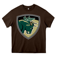 Chocolate Brown south florida bulls Heavy Core Tee - artisFamous