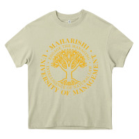 Mossy Maharishi International College Heavy Core Tee - artisFamous