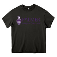 Asphalt Palmer College of Chiropractic Heavy Core Tee - artisFamous