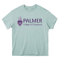 Arona Palmer College of Chiropractic Heavy Core Tee - artisFamous