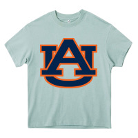 Arona auburn tigers Heavy Core Tee - artisFamous