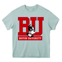Arona boston university terriers Heavy Core Tee - artisFamous
