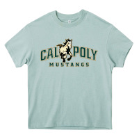 Arona cal poly mustangs Heavy Core Tee - artisFamous