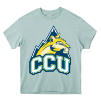 Arona colorado christian Heavy Core Tee - artisFamous