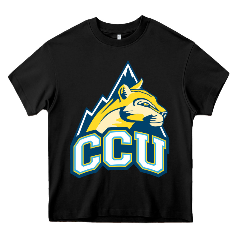 Colorado Christian Heavy Core Tee by artisFamous | Teevron