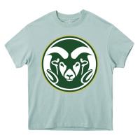 Arona colorado state rams Heavy Core Tee - artisFamous