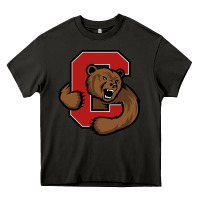 Asphalt cornell big red Heavy Core Tee - artisFamous