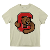 Mossy cornell big red Heavy Core Tee - artisFamous