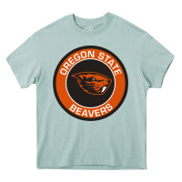 Arona Oregon College Gift Heavy Core Tee - artisFamous