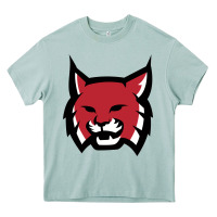 Arona Rhodes College Athletic Heavy Core Tee - artisFamous