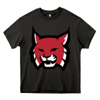 Asphalt Rhodes College Athletic Heavy Core Tee - artisFamous