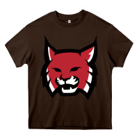 Chocolate Brown Rhodes College Athletic Heavy Core Tee - artisFamous