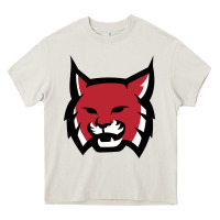 Cream Rhodes College Athletic Heavy Core Tee - artisFamous