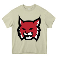 Mossy Rhodes College Athletic Heavy Core Tee - artisFamous