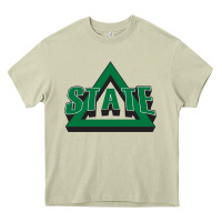 Mossy delta state athletics Heavy Core Tee - artisFamous