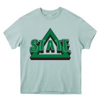 Arona delta state athletics Heavy Core Tee - artisFamous