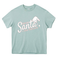 Arona Dear Santa I Can Explain Heavy Core Tee - artisFamous