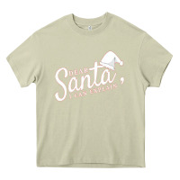 Mossy Dear Santa I Can Explain Heavy Core Tee - artisFamous