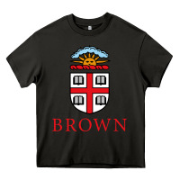 Asphalt brown university Heavy Core Tee - artisFamous