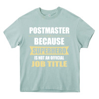 Arona gift for superhero postmaster Heavy Core Tee - artisFamous
