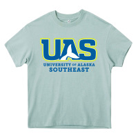 Arona Alaska Southeast Gift Heavy Core Tee - artisFamous