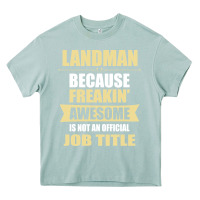 Arona landman because freakin' awesome isn't a job title Heavy Core Tee - artisFamous