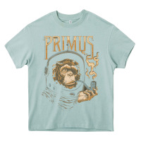 Arona primus new Heavy Core Tee - artisFamous
