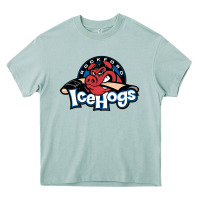 Arona The Icehogs, Rockford Heavy Core Tee - artisFamous