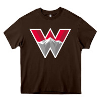 Chocolate Brown Western Colorado Gift Heavy Core Tee - artisFamous