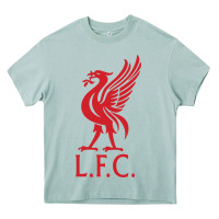 Arona l f c Heavy Core Tee - artisFamous