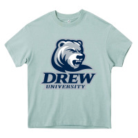Arona drew university Heavy Core Tee - artisFamous