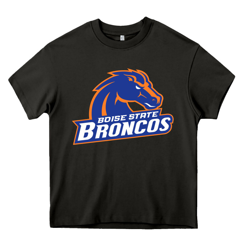 Boise Design Heavy Core Tee by artisFamous | Teevron
