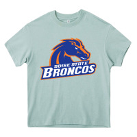 Arona Boise Design Heavy Core Tee - artisFamous