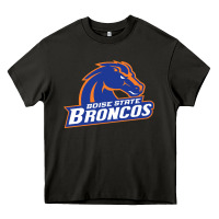 Asphalt Boise Design Heavy Core Tee - artisFamous
