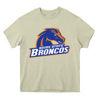 Mossy Boise Design Heavy Core Tee - artisFamous