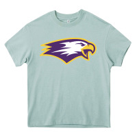 Arona elmira college Heavy Core Tee - artisFamous